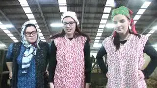 Slunce, seno, maturita - Maturitní video (ZA4; Český Krumlov; 2019/2020)