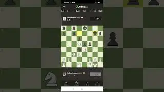 #checkmate #chess #game #chess oppening game #chess middle game #chess end game