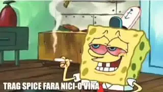 Garda e in spatele tau Parodie Spongebob