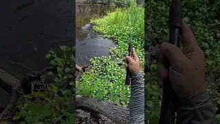The big ones hang deep! #fishing #bluegill