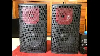 Loa karaoke Audiocenter PF 12 - Bản mới Nhất 2020