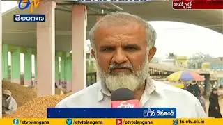 Groundnut Farmers Happy | with Demand to Crop in National, International Markets and Price Hike