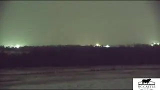 FJC Cattle Live Stream | Oklahoma Sunrise & Sunset