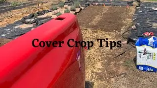 Cover crops