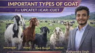 //Types of goat// Classification of goat//Animal husbandry//upcatet, icar,cuet// @CSAWallahOfficial 