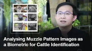 Analysing Muzzle Pattern Images as a Biometric for Cattle Identification | The Author