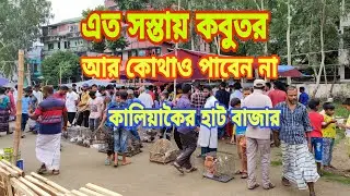 কবুতরের হাট কালিয়াকৈর বাজার গাজীপুর