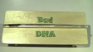 Bad DNA Triple Bench w/rail