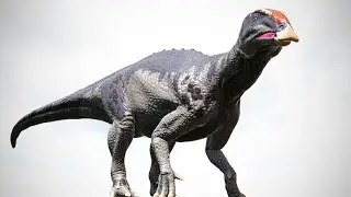 TETHYSHADROS vs. SMALL ARK CREATURES | ARK Dino Battle 🦎