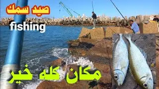 صيد سمك في الإسكندرية... المكان ده محدش بيتكلم عنه 🎣🐟🐠