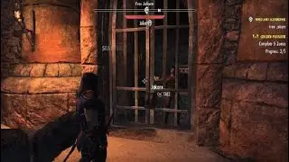 The Elder Scrolls Online:Fidget S1E3