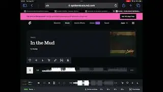 In the Mud - Cushy