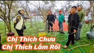 Mai Bình Định và  Đào Đá đã có mặt tại đường Lê hồng phong ngày 18 tết 2026 