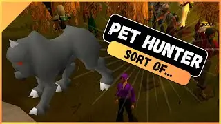 Early Game Ironman Pet Hunting with a Twist [IM #2]