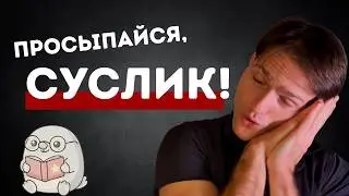 Турбо-суслик: Как получить просветление от системы