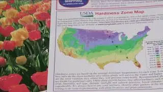 Melinda&rsquo;s Garden Moment &ndash; Plant Hardiness Zones