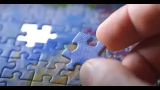 AM I Right?! Puzzle Piece