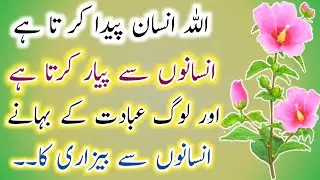 Allah Insan Paida Karta Hai🌷! Best Urdu Quotes🔥! Anmol Batain⭐! Quotes In Urdu💥! ISLAMIC URDU MEWAT