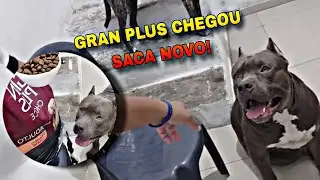 GRAN PLUS RA&Ccedil;&Atilde;O BOA CHEGOU - Gran plus choice especial