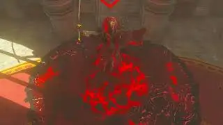 Phantom Ganon Boss Fight (No Damage) Crisis at Hyrule Castle