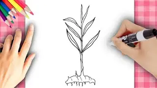 Comment dessiner une plante sur terre?