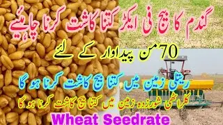 Wheat Seedrate to get High Grains Yield | Optimum Seed rate for Wheat | Wheat seed sowing quantity
