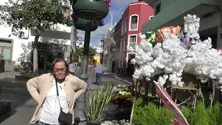 parques y jardines de  santiago de galdar  11-5-2024 manuel castro pulido