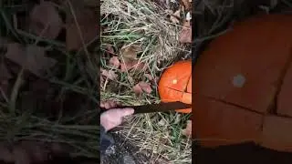 |RUSTY MACHETE FOUND|
