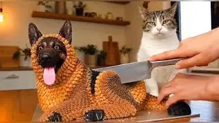 THEY THOUGHT IT WAS REAL! 😱 Funny Dog and Cat Reactions to Cutting Cake 2026