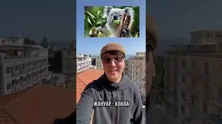 🇦🇺 Аустралия туралы ТОП-10 дерек #аустралия #australia #австралия #10дерек