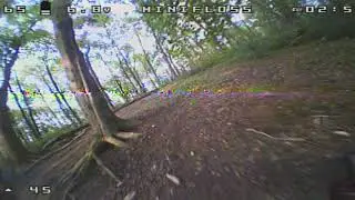 AcroMob Racing he woods