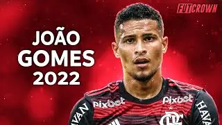João Gomes 2022 ● Flamengo ► Dribles, Gols & Assistências | HD