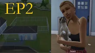 Rescuing a Stray! Sims 4 Dog Rescue EP2