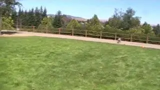 Vader Lure