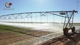 Export Development Group | Crop Irrigation System