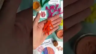 🐠 Build Your Own Coral Reef! 🪸 (Easy Ocean STEM for Kids)