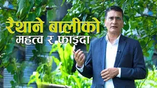 रैथाने बालीको महत्व र फाइदा || Raithane bali  || Tikaram Yatri
