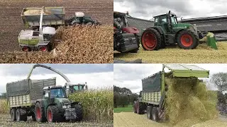 Chopping corn with Jaguar 870