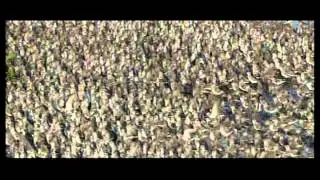 Migration mysteries