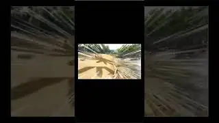 Hunting a Turkey in Ark #arkmemes