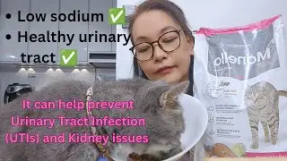 Cat food na iwas UTI at Kidney issues | Low sodium cat food | Healthy urinary tract #cat #catfood 