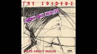 THE SPIDERZ - Tales about males (New Wave / Powerpop / Punk)