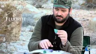 Field Gemologist Inexpensive Gems