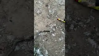 Heksehyl kanonslag