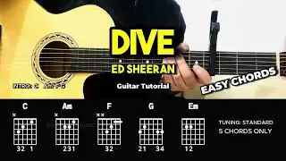 Dive - Ed Sheeran | Easy Guitar Chords Tutorial For Beginners (CHORDS & LYRICS) #guitarlesson