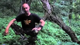 Documental Hambacher Forst parte 2