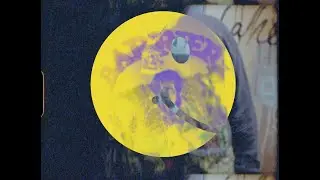 dndSection - Barriers Warrior (Official Video)