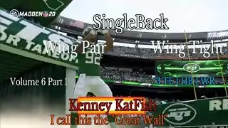 Singleback Wing Pair & Singleback Wing Tight | Madden 20 | Vol 6 Part 1