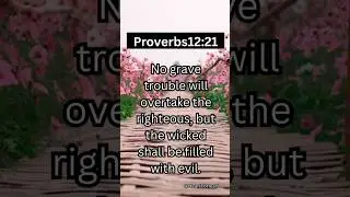 Proverbs 12:21 Explained | God&rsquo;s Protection for the Righteous | Daily Bible Verse