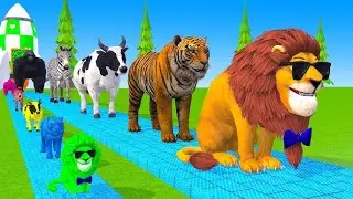 Long Slide Game With Cow Elephant Gorilla Hippopotamus Tiger - 3d Animal Game - Funny 3d Animals